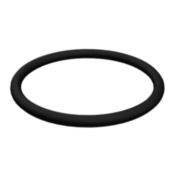 Immagine di 24316-000200 O'RING