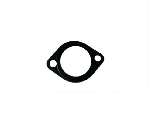 Immagine di a047e401 gasket