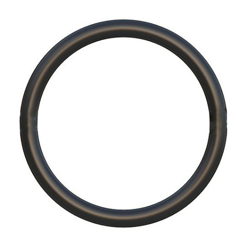Immagine di 1090072 seal o ring - tenuta