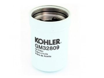 Picture of gm32809 filtro olio 30-80 efozd