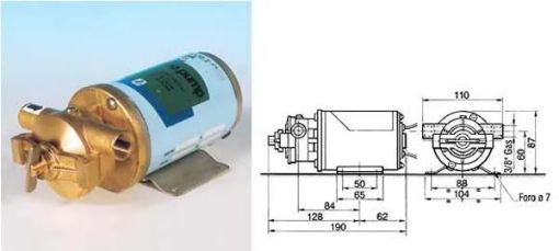 Immagine di 0024 ELETTROP. BG 9 12V