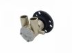 Immagine di CP25UH POMPA ACQUA MARE 1, Crank Pulley Driven