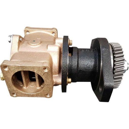 Immagine di 3967246 PUMP,SEA WATER