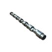 Immagine di 1105140U CAMSHAFT - CAT 3176