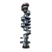 Immagine di 0r2823 crankshaft reman for 1220721 cat 3176