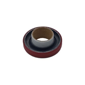 Immagine di 25269 lip seal replaces 21776-shw for packaging protection