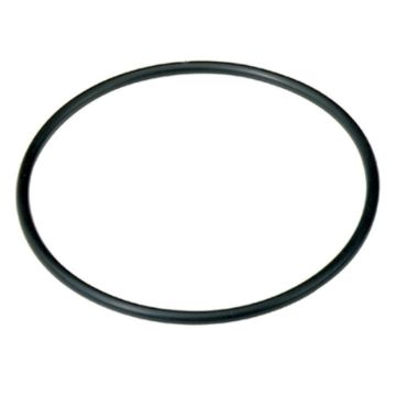 Immagine di 24321-000950 O RING vedi note