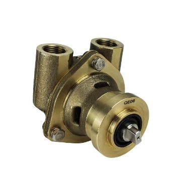 Immagine di WB7108 POMPA ACQUA MARE 3/8, NPT, 7050-01