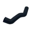 Immagine di 3968964 hose,molded