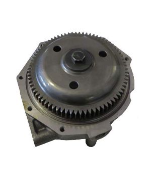 Immagine di 10R0484 PUMP GP WTR