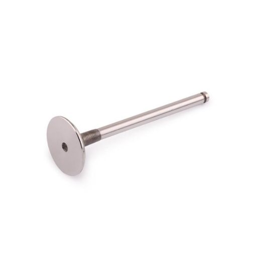 Immagine di exv-972 exhaust valve