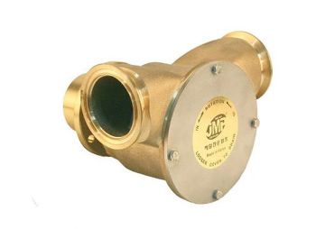 Immagine di G6500 POMPA ACQUA MARE 2, Flange, 9000-01