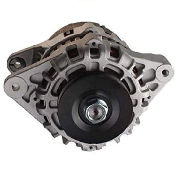 Immagine di 0191-2420 ALTERNATOR