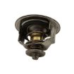 Immagine di 0130-7355 THERMOSTAT