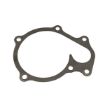 Immagine di 0132-0486 GASKET-WATER PUMP