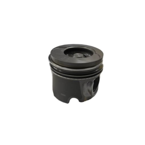 Immagine di 10252104G PISTONE - PISTON