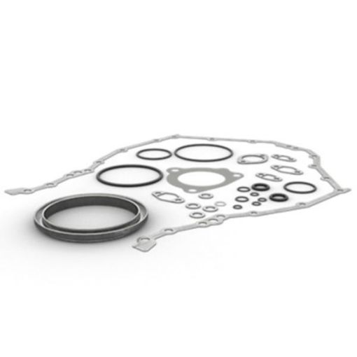 Immagine di 4204422 KIT GASKET - KIT GUARNIZIONI