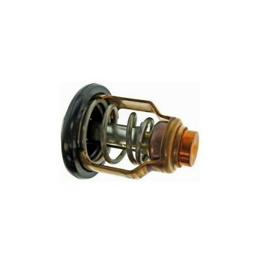 Immagine di 881429 THERMOSTAT