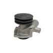 Immagine di 15202030H POMPA ACQUA - WATER PUMP