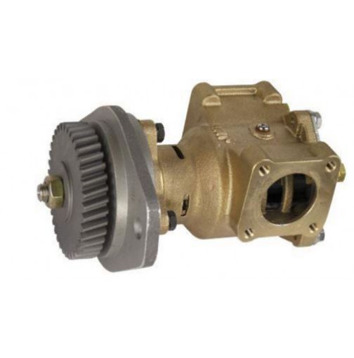 Immagine di S7630 POMPA ACQUA MARE 1-3/4, Flange, 7608-01