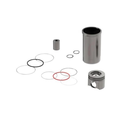 Immagine di dz114645 kit camicia pistone segm. o-ring