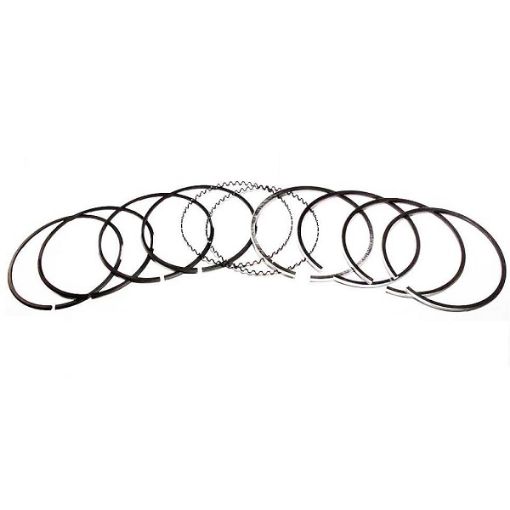 Immagine di 05149942 Piston Ring Set For 53 Diesel