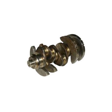 Immagine di 20050350100 crankshaft