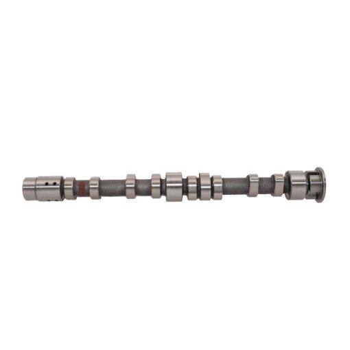 Immagine di 20100344201 camshaft