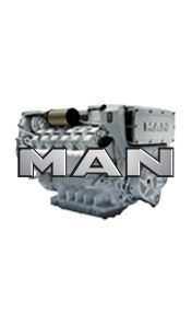 Immagine per la categoria MAN MOTORI