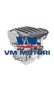 Immagine per la categoria VM MOTORI