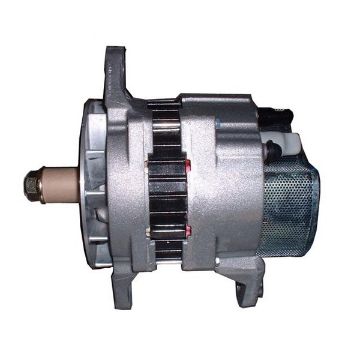 Immagine di 19010200 ALTERNATORE 24V 70A