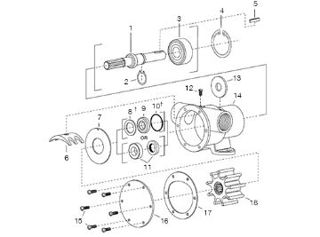 Blue Print Pompa Acqua Nissan L35.08 / L35.09 Adn19163 - Ricambi auto SMC