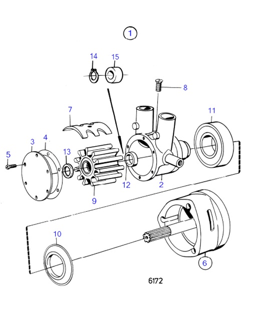 AQ200F-54145955-Sea-Water-Pump