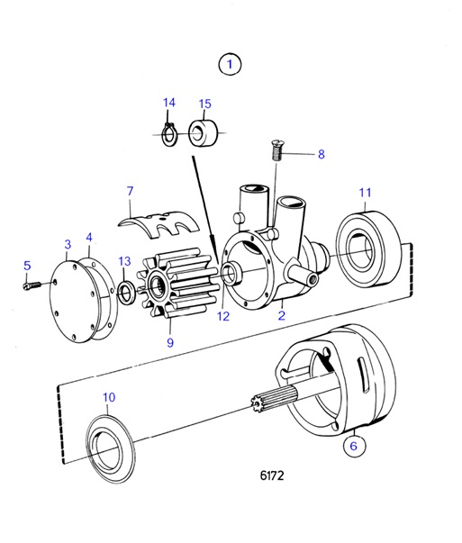 AQ200F-54151661-Sea-Water-Pump