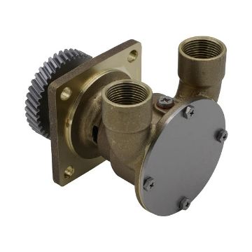 Immagine di 4255421 PUMP GP-AUX  POMPA ACQUA MARE