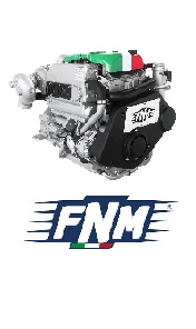 Immagine per la categoria FNM MOTORI