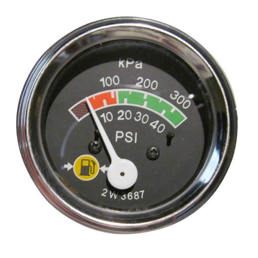 Immagine di 2W3687A Indicatore