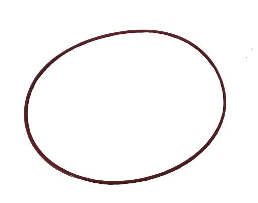 Immagine di 1202101 O-RING