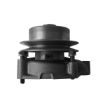 Immagine di U5MW0054 WATER PUMP
