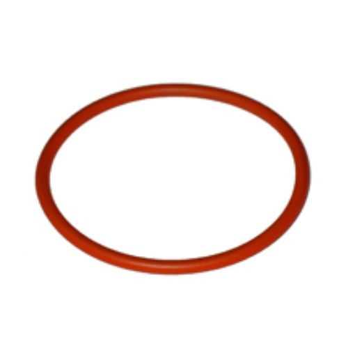 Immagine di 1090074A SEALORING