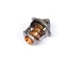 Immagine di 145206270 THERMOSTAT