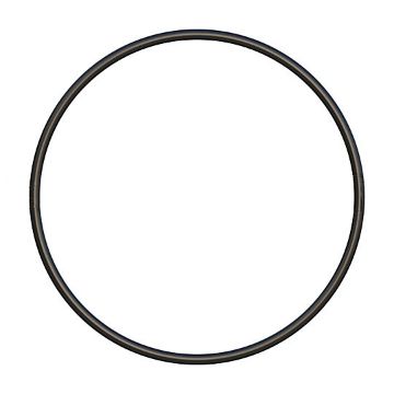 Immagine di 1076280A Anello OR HNBR (72) 177,17x5,33