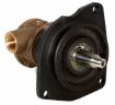 Immagine di 10950-2401 Pompa in bronzo 10950-2401