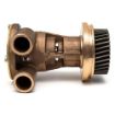 Immagine di 4255412 POMPA PUMP GP-AUX-