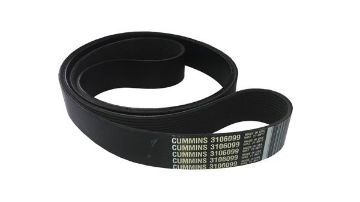 Immagine di 3106099 BELT,V RIBBED