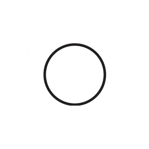 Immagine di 0.2172.142 O-RING 90.00X2.5