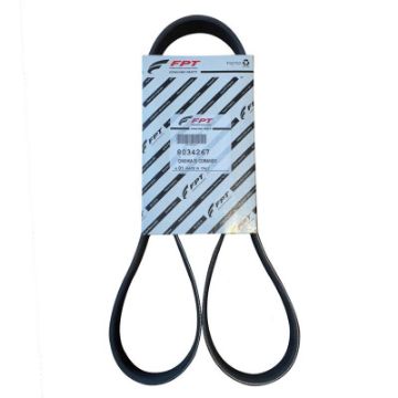 Immagine di 8034267 CINGHIA DI COMANDO