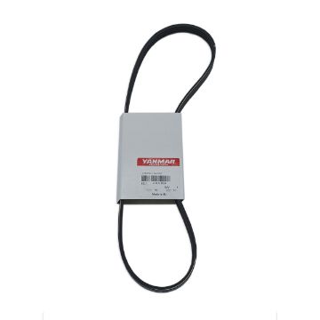 Immagine di 120650-42360 CINGHIA POMPA MARE 4BY/6BY ( KIT2 4/6BY )