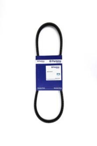 Immagine di T80109107 BELT