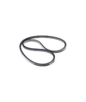 Immagine di 276148 CINGHIA